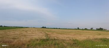 Torpaq sahələrinin satışı: Kənd təsərrüfatı — 8