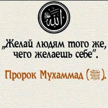 продажа паласов: Ковер