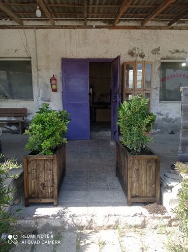 Bitkilər üçün dibçəklər: Dipçək.hər növ modeldə və rəngdə -da lalafo.az — 19 Bitkilər üçün dibçəklər: Dipçək.hər növ modeldə və rəngdə — 19