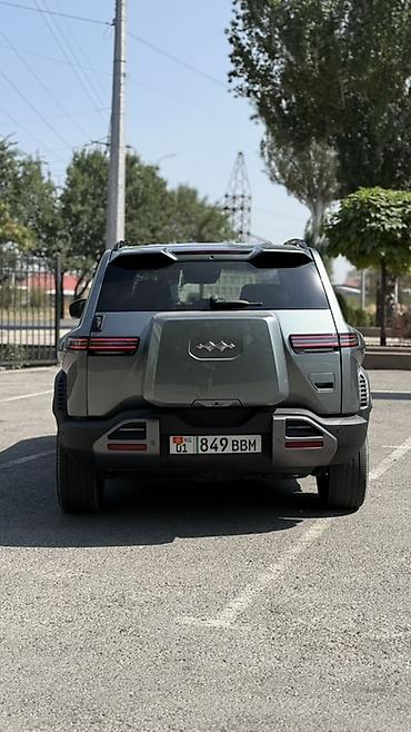 byd leopard 3 цена: BYD FangChengBao Leopard 3: 2025 г., Автомат, Электромобиль, Кроссовер — 6
