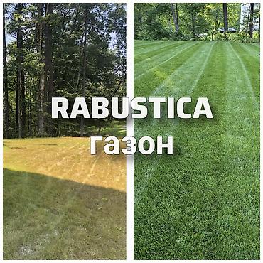 бутыли: 🌱 RABUSTICA Газон Уругу — калың, жашыл жана кооз газон үчүн мыкты — 1
