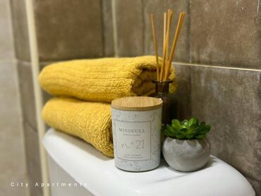 Günlük kirayə mənzillər: 2 otaqlı, Səbail r. r-nu — 4