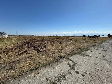 Продажа участков: 60 соток, Красная книга — 10