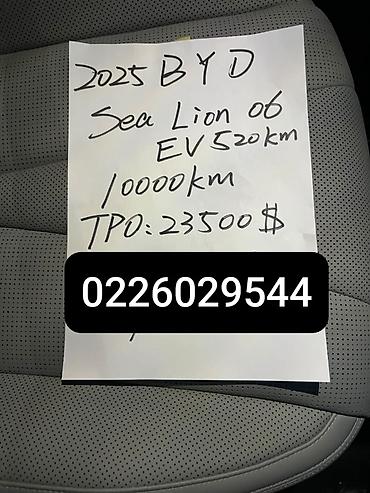 BYD Sea Lion 06: 2025 г., Электромобиль, Кроссовер — 2