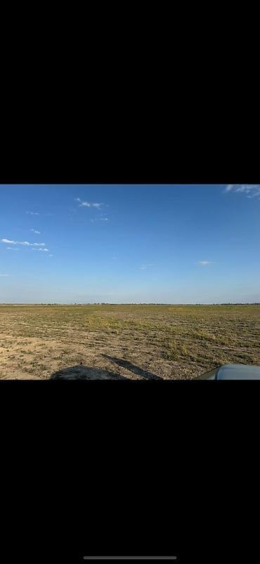 оптовый товар: Farm КРС, 97 соток, Действующий, Частично с оборудованием, Электричество, Скважина — 2