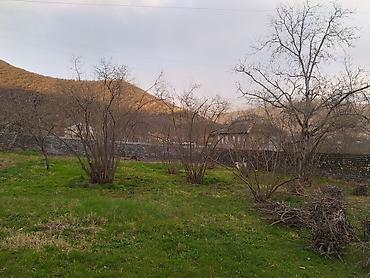 ev: Zaqatala, 70 kv. m, 3 otaqlı, Hovuzsuz, Kanalizasiya, Telefon, İşıq — 3