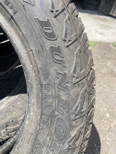 Шины: Шины 175 / 80 / R 15, Лето, Б/у, Пара, Легковые, Таиланд, Dunlop