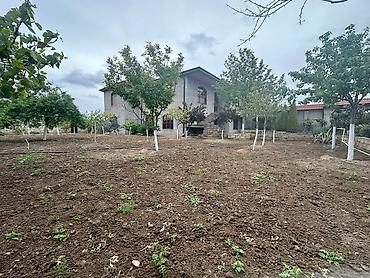 albali: Buzovna 6 otaqlı, 200 kv. m, Kredit yoxdur, Orta təmir — 4