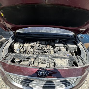 Другие детали кузова: Кузовные детали для KIA Carnival (Sedona) В наличии: - Капот (черный) — 15