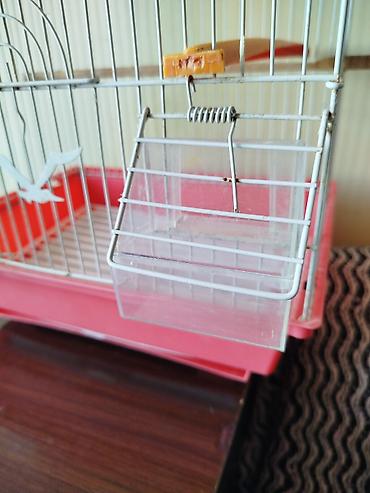 Heyvanlar: Qırmızı-ağ quş qəfəsi - Material: metal barmaqlıqlar, plastik altlıq — 7