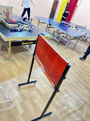 Настольные игры: 🏓 DOUBLE FISH компаниясынын жогорку сапаттагы оригинал теннис столдору — 11