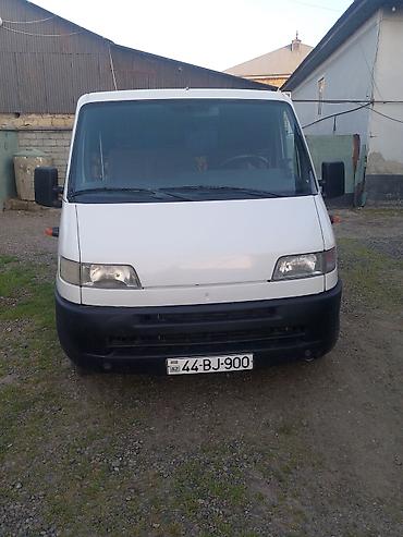 Fiat: Fiat Ducato: 2 l | Mikroavtobus — 12