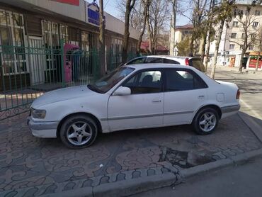 Toyota Corolla: 1996 г., 1.5 л, Автомат, Бензин, Седан