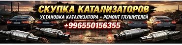 тракт: Скупка катализаторов. Профессиональные услуги по выхлопным системам: - — 1