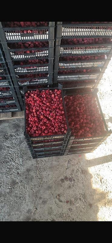 Ящики: Пластиковый Ящик — 15