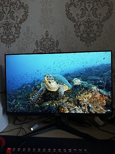 компьютер клуб: Монитор, AOC, Новый, LED, 23" - 24" — 1