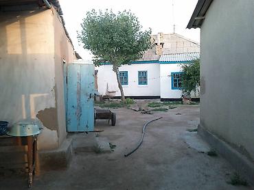 дом участок село мыкан: Продается большой дом 3 комнат, со всей мебелью. В Нарынской области — 7