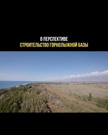bay tash: 500 соток, Для бизнеса — 10