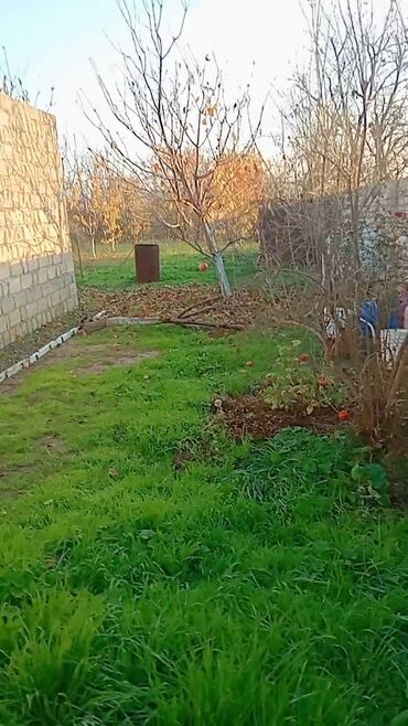 Torpaq sahələrinin satışı: Kənd təsərrüfatı — 6