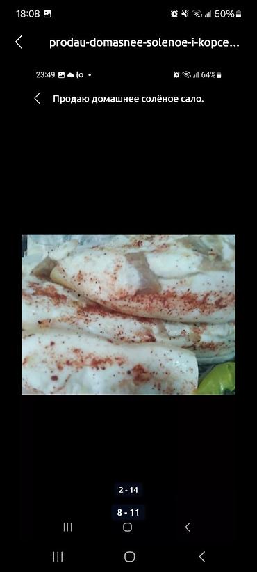 кумыс с медом бишкек: Продаю домашнее солёное и копчёной сало. пальчики оближешь. солёное — 5