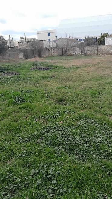 Torpaq: 21 sot, Mülkiyyətçi, Kupça (Çıxarış) — 3