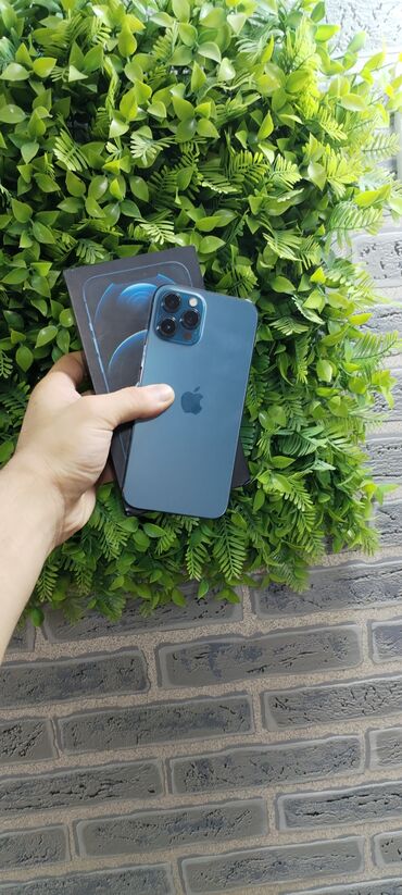 Apple iPhone: IPhone 12 Pro Max, 256 GB, Pacific Blue, Face ID