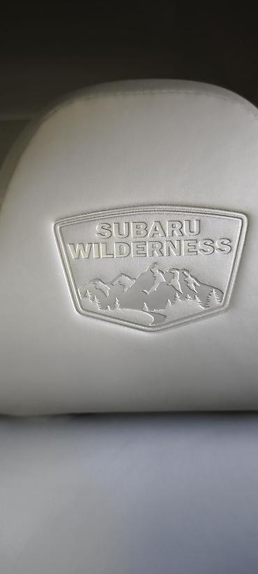 Subaru: Subaru Outback: 2021 г., Кроссовер — 15