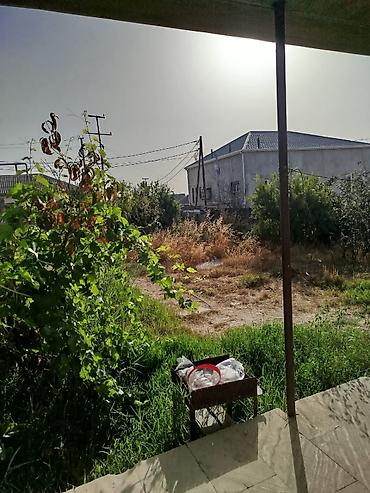 torpaq alışı: 3 otaqlı, 120 kv. m — 2