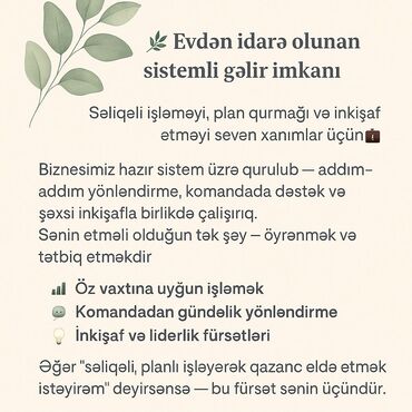 Taksi, logistika, çatdırılma: Evdən idarə olunan sistemli gəlir imkanı – planlı işləməyi və inkişafı
