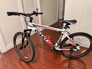 İdman velosipedləri: Giant Rincon dağ velosipedi - Çərçivə: yüngül alyumini (ALUXX) — 2