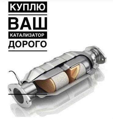 катализатор камаз цена: Скупка катализаторов Фура фура евро 6 Фура Принимаем дизельные