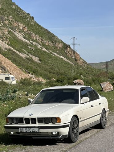 BMW: BMW 5 series: 1991 г., 2.5 л, Механика, Бензин, Седан