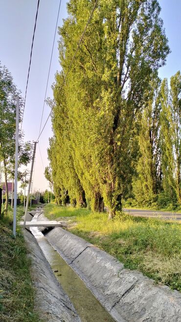 Uzunmüddətli kirayə mənzillər: QUSAR HƏYƏT EVİ | Günlük & Aylıq KİRAYƏ🏡 ~Geniş rahatlığa və — 14