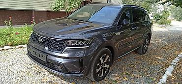 0 25: Kia Sorento: 2020 г., 2.2 л, Автомат, Дизель, Кроссовер — 4