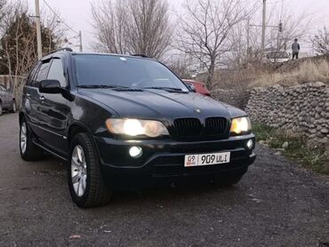 BMW: BMW X5: 2004 г., 4.4 л, Типтроник, Бензин, Кроссовер — 4