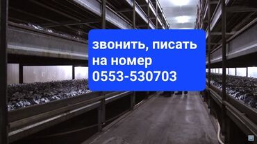 село лелиниское: Продается помещение с.Романовка Сокулукский район (Грибной цех)