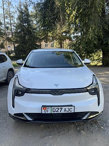 lexsus es: BYD : 2023 г., Автомат, Электромобиль, Кроссовер — 2