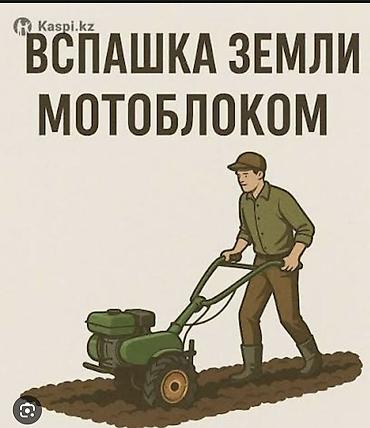 Аренда транспорта: Вспашка земли мотоблоком Профессиональная обработка участков — 1