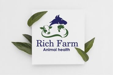 IT, компьютеры, связь: Графический дизайнер с опытом работы более 10 ти лет! Все для — 6