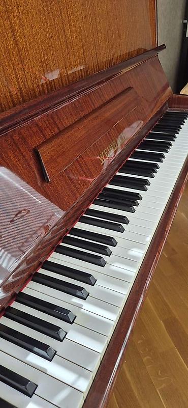 akustik gitara simi: Weinbach markalı akustik piano təqdim olunur. Klassik upright tipli — 2