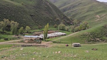 алтын казык ж м: 7400 соток, Айыл чарба үчүн
