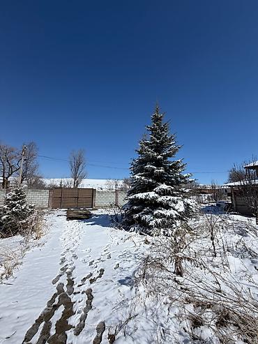 Продажа коттеджей и домов: 🏔 ПРОДАЁТСЯ УЧАСТОК В С. ГОРНАЯ МАЕВКА 📐 Площадь по документам — 13,5 — 23