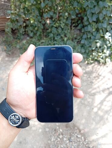 IPhone 12, Синий