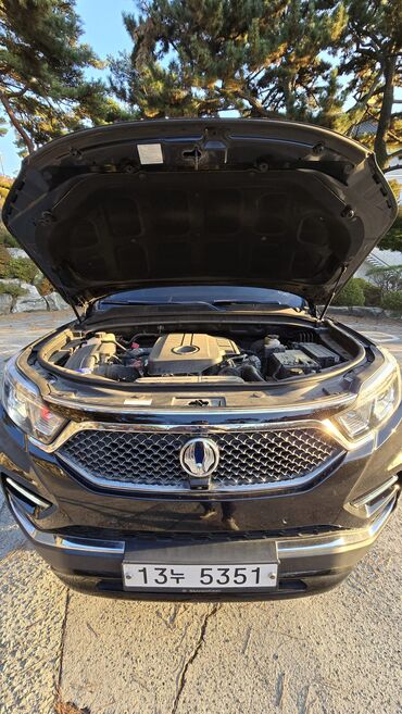 Ssangyong: Ssangyong Rexton: 2019 г., 2.2 л, Автомат, Дизель, Внедорожник — 9