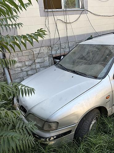 sg 9: Nissan Primera: 1999 г., Механика, Универсал — 5