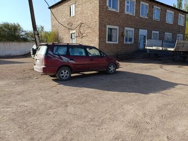 дордой мото: Honda Odyssey: 1995 г., Автомат, Бензин
