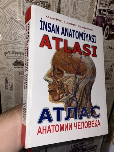 сборник тестов по биологии с ответами: Məhsul: “İnsan Anatomiyası Atlası” – 3-cü nəşr - Müəlliflər: V.B at lalafo.az сборник тестов по биологии с ответами: Məhsul: “İnsan Anatomiyası Atlası” – 3-cü nəşr - Müəlliflər: V.B