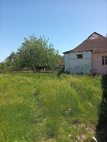 Torpaq sahələrinin satışı: 38 sot, Mülkiyyətçi, Kupça (Çıxarış) — 23