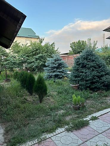 Продажа коттеджей и домов: Срочно !!! Продаю дом! Жил массив Арча Бешик Шералиева Кара Кужур — 5