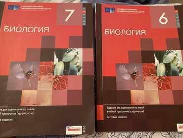 кыргыз тили 3 класс буйлякеева гдз: Две книги 3 маната